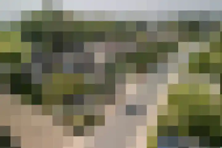 Beerschemaasweg 53 Escharen thumbnail 53