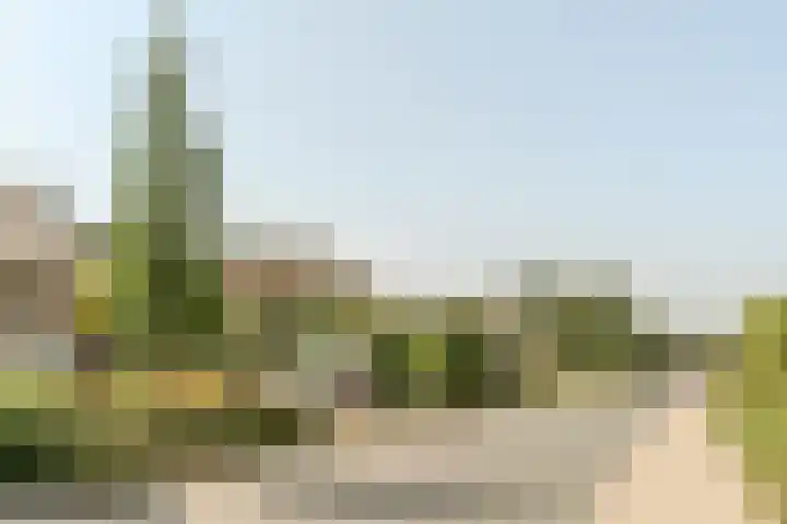 Beerschemaasweg 53 Escharen thumbnail 54
