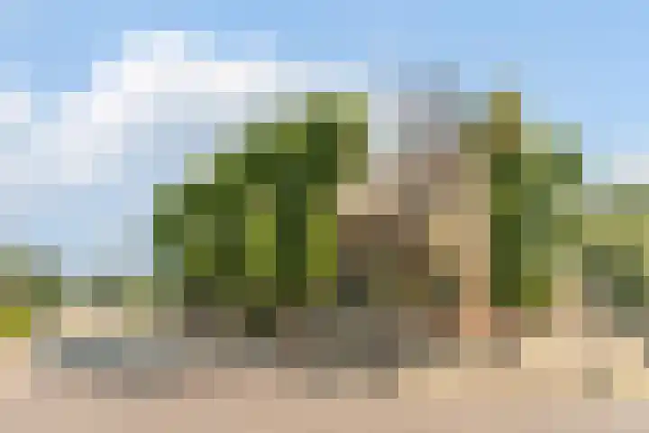 Beerschemaasweg 53 Escharen thumbnail 55