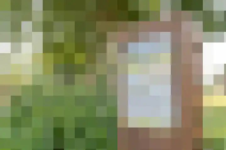 Beerschemaasweg 53 Escharen thumbnail 56