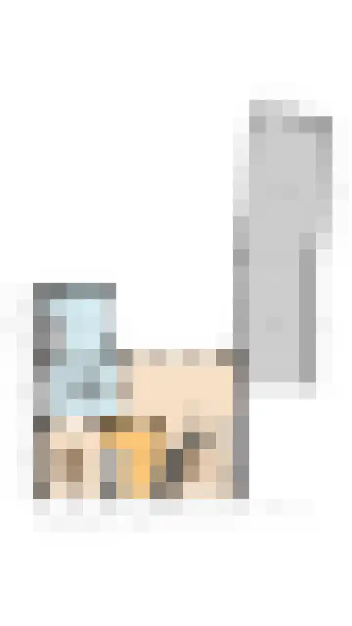 Beerschemaasweg 53 Escharen thumbnail 63