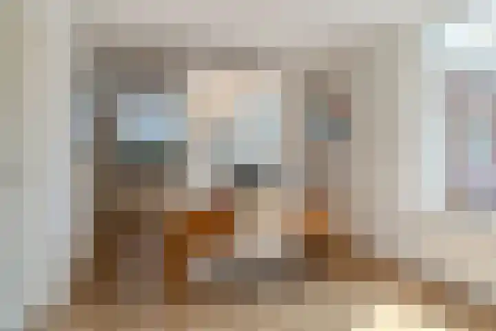 Beerschemaasweg 53 Escharen thumbnail 9
