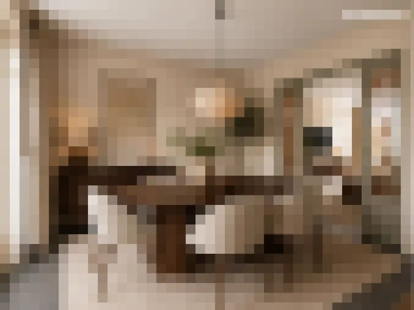Beerschemaasweg 72 Escharen thumbnail 12