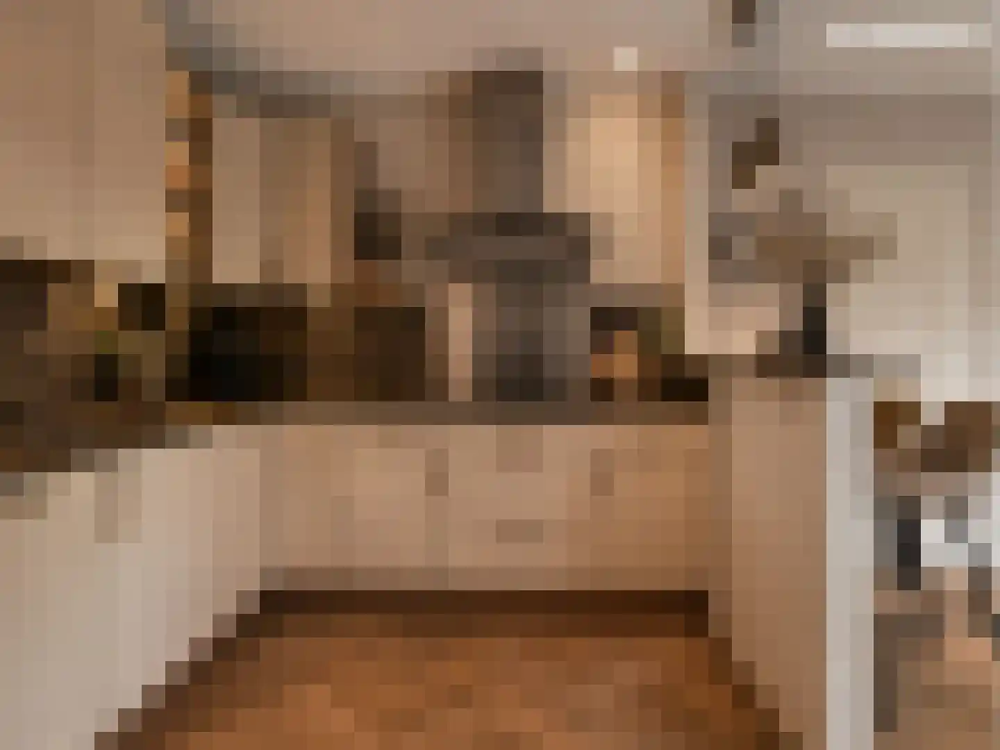 Beerschemaasweg 72 Escharen thumbnail 14