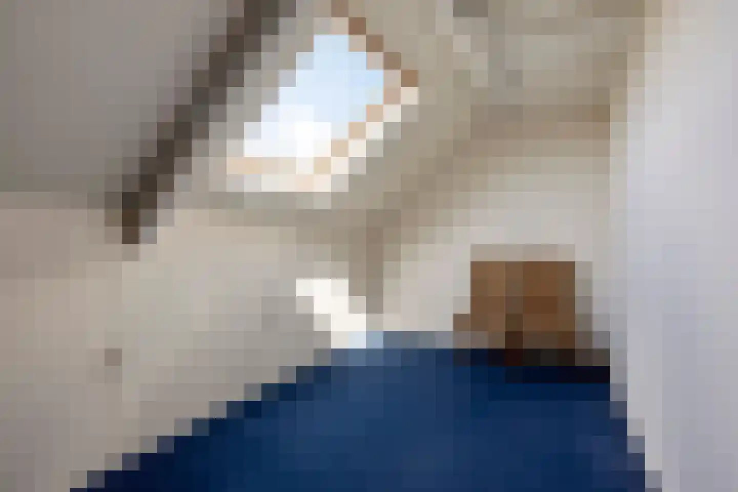 Beerschemaasweg 72 Escharen thumbnail 34