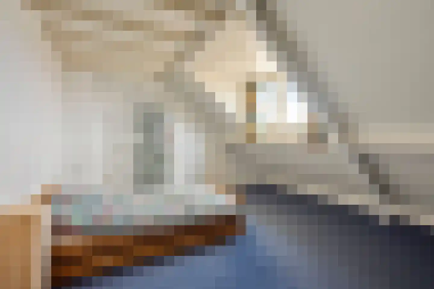 Beerschemaasweg 72 Escharen thumbnail 35