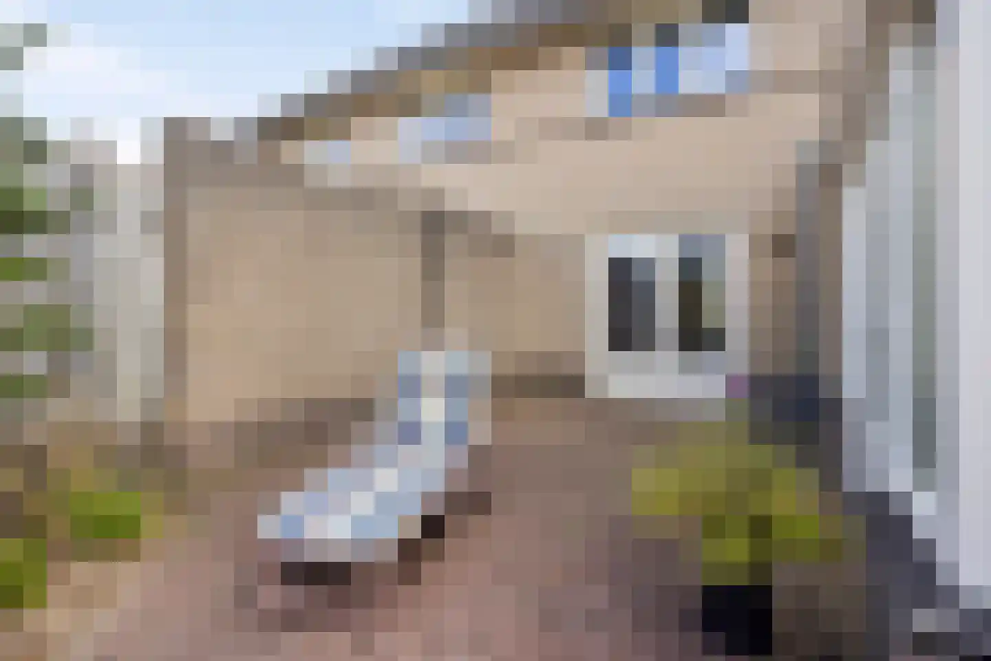 Beerschemaasweg 72 Escharen thumbnail 39