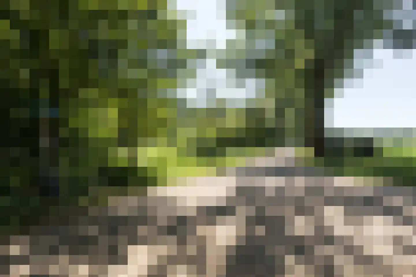 Beerschemaasweg 72 Escharen thumbnail 45