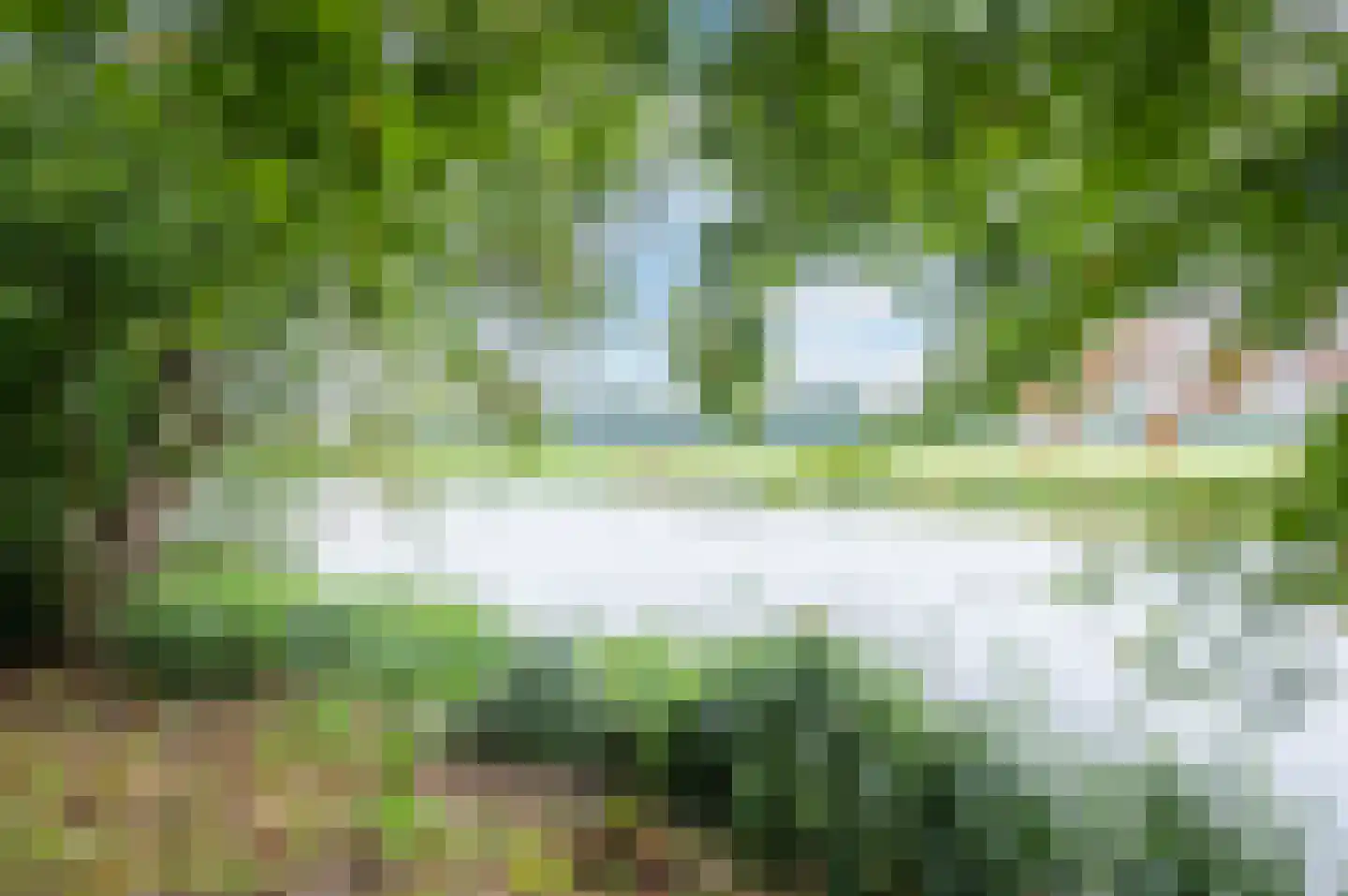 Beerschemaasweg 72 Escharen thumbnail 46