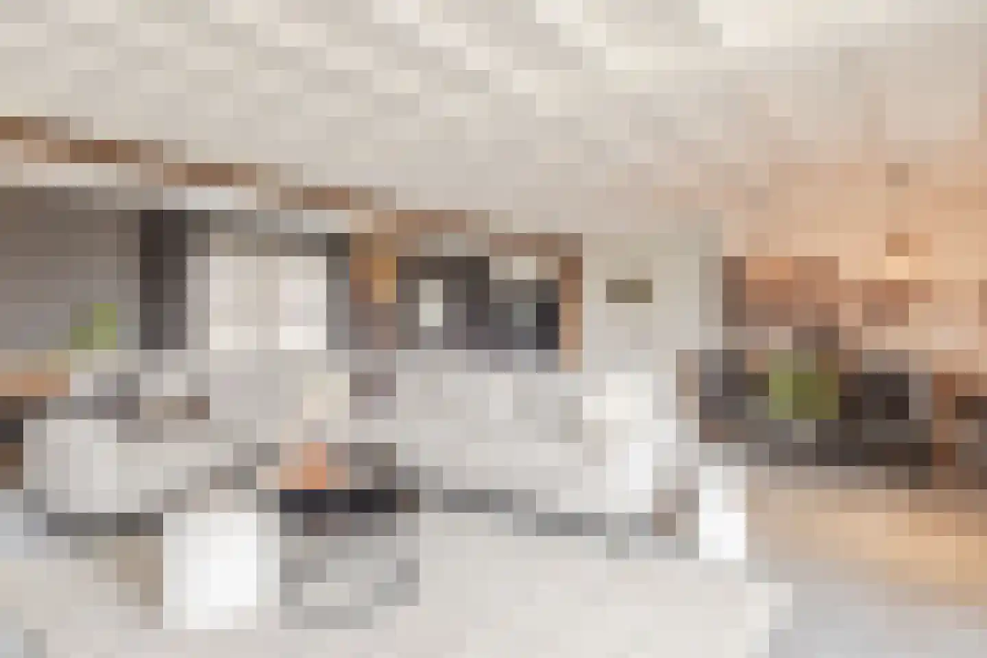 Beerseweg 37 Cuijk thumbnail 10