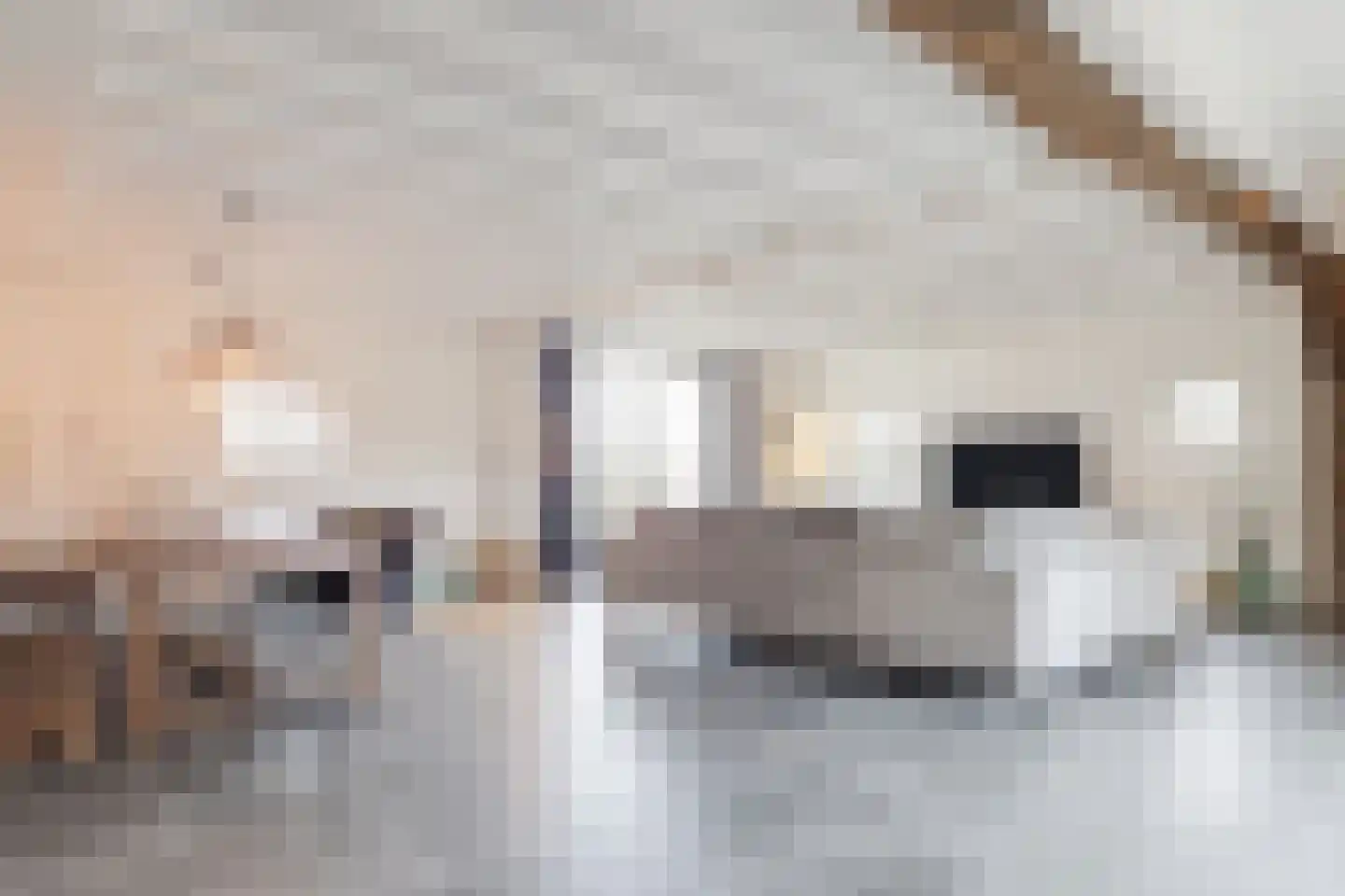 Beerseweg 37 Cuijk thumbnail 12