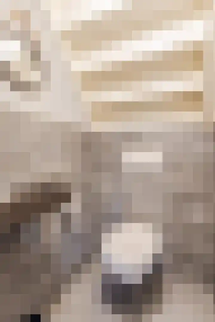 Beerseweg 37 Cuijk thumbnail 23