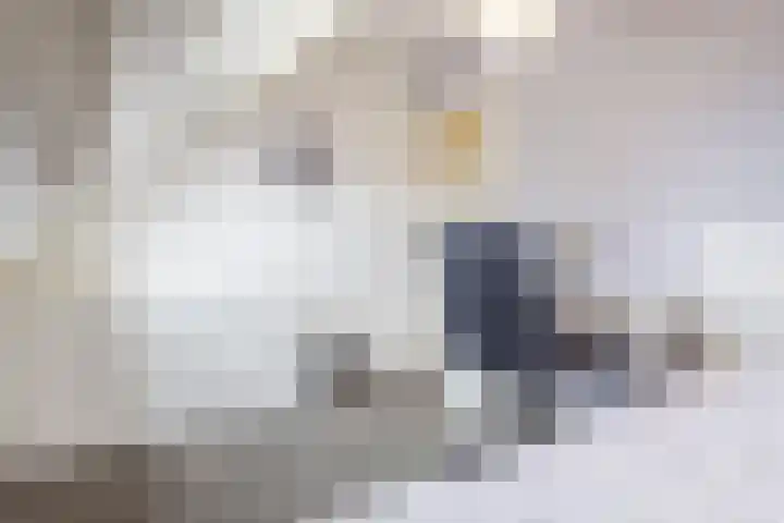 Beerseweg 37 Cuijk thumbnail 29