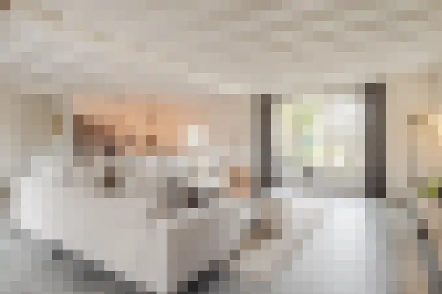 Beerseweg 37 Cuijk thumbnail 4