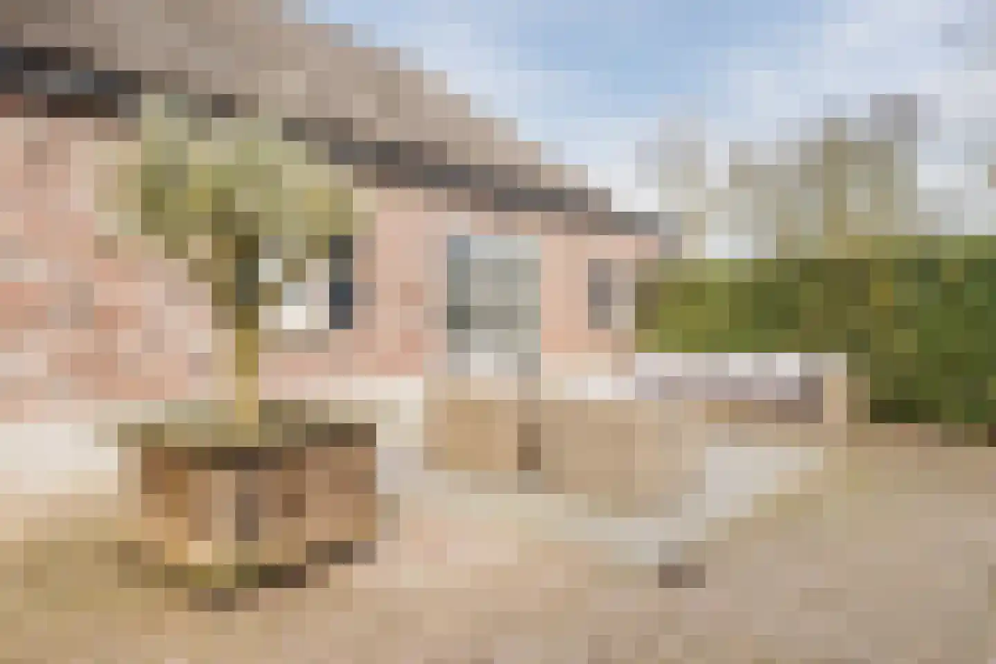 Beerseweg 37 Cuijk thumbnail 40