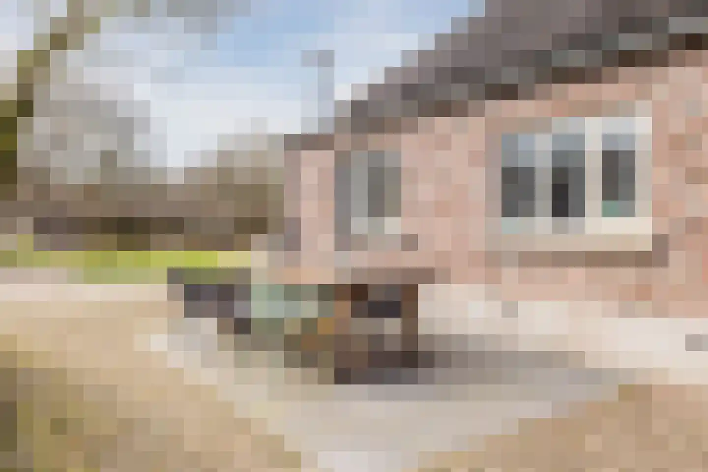 Beerseweg 37 Cuijk thumbnail 41