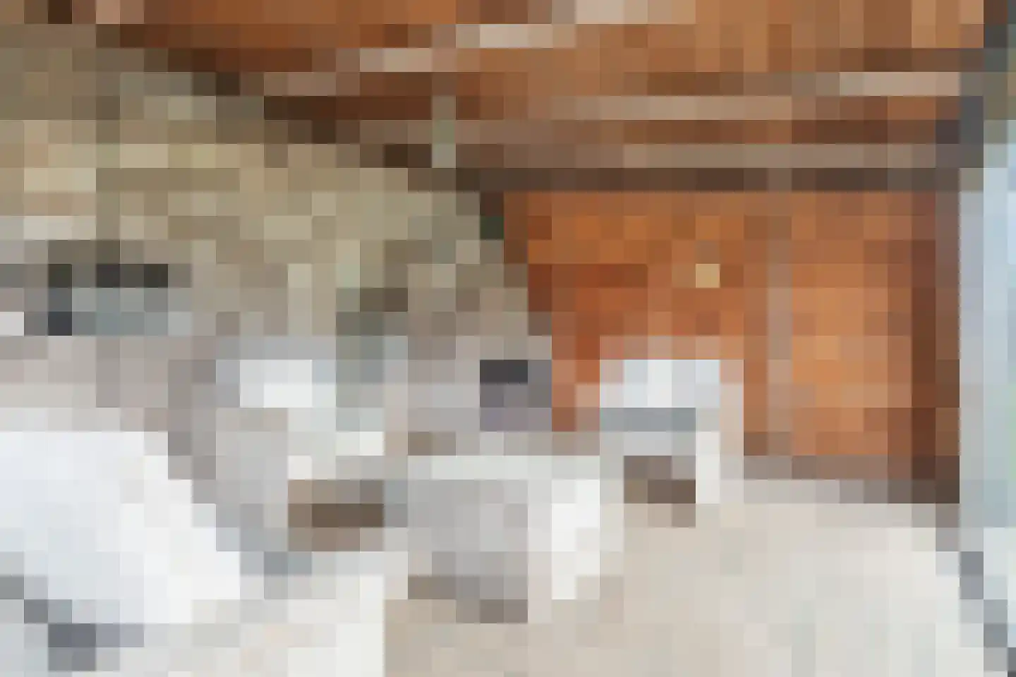 Beerseweg 37 Cuijk thumbnail 47