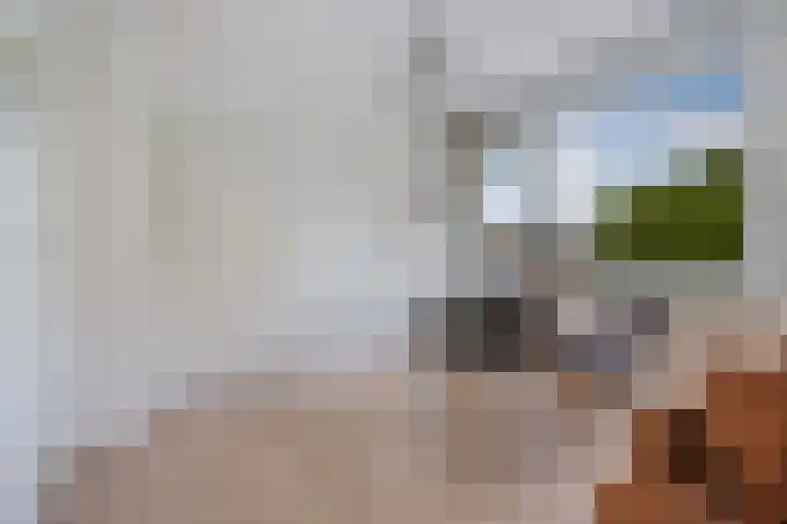 Beerseweg 37 Cuijk thumbnail 48