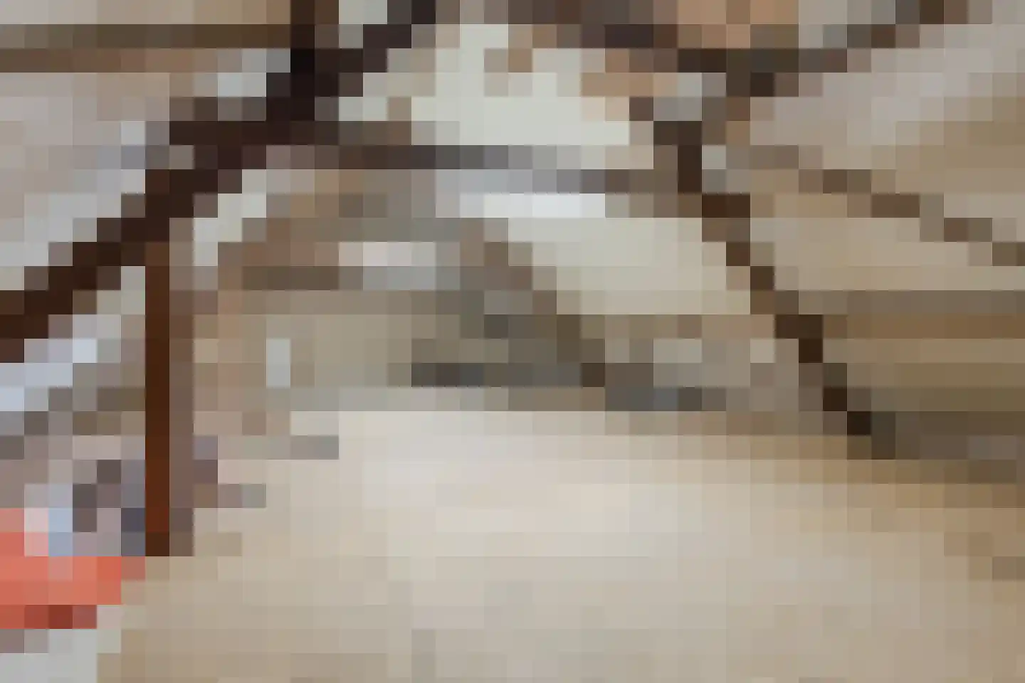 Beerseweg 37 Cuijk thumbnail 52