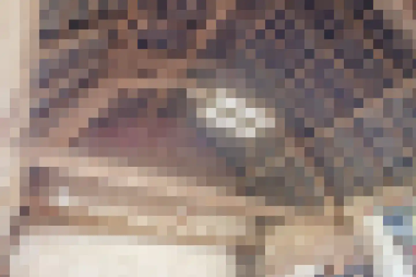 Beerseweg 37 Cuijk thumbnail 57