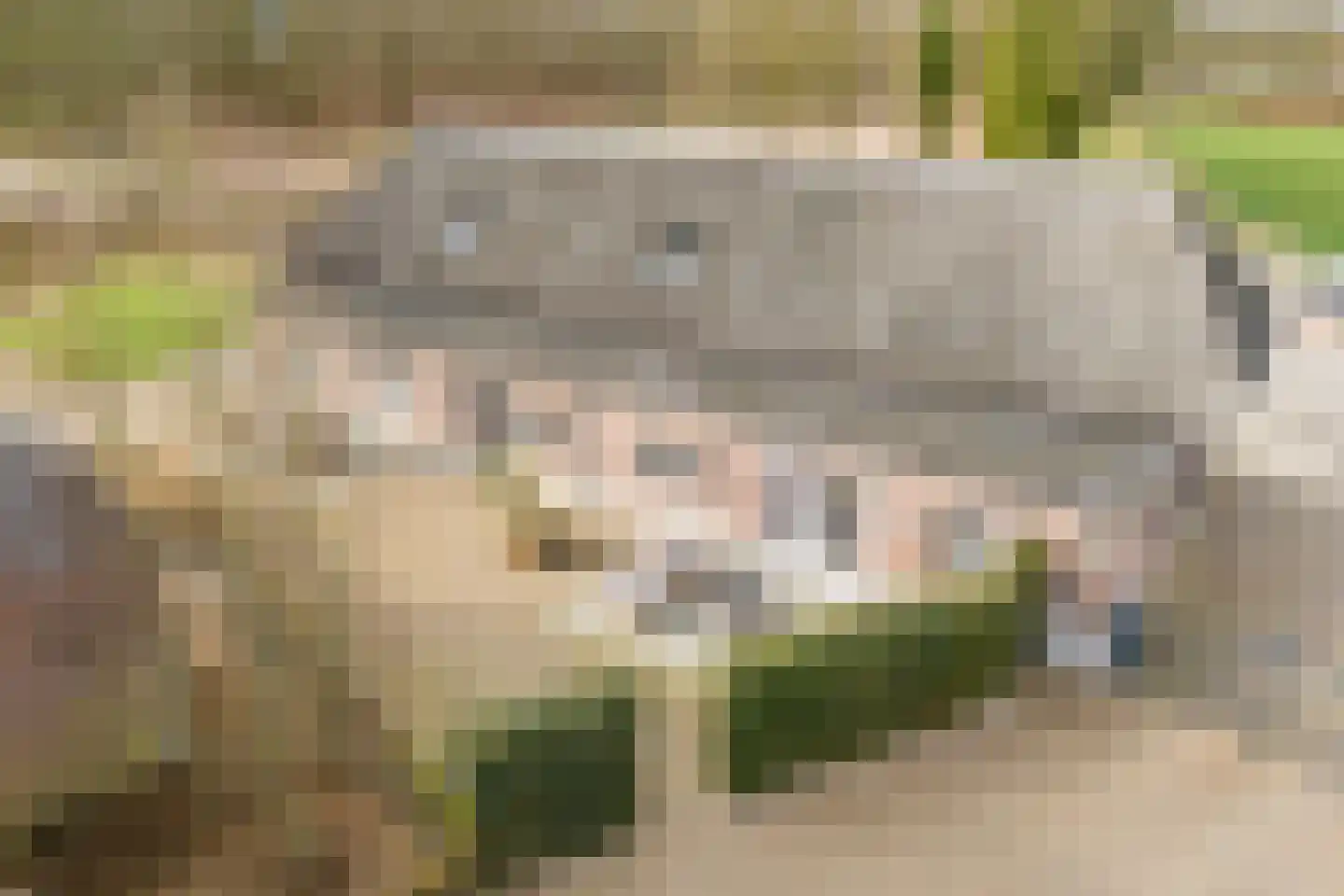 Beerseweg 37 Cuijk thumbnail 58