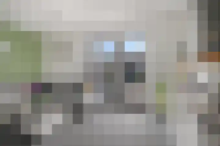 Beerseweg 37 Cuijk thumbnail 6
