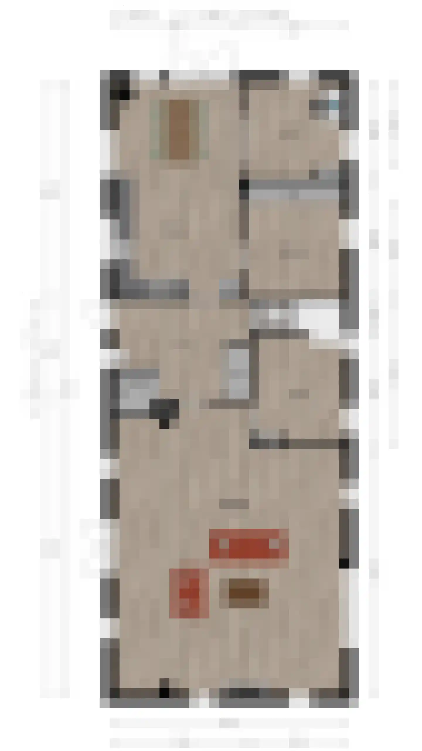 Beerseweg 37 Cuijk thumbnail 61