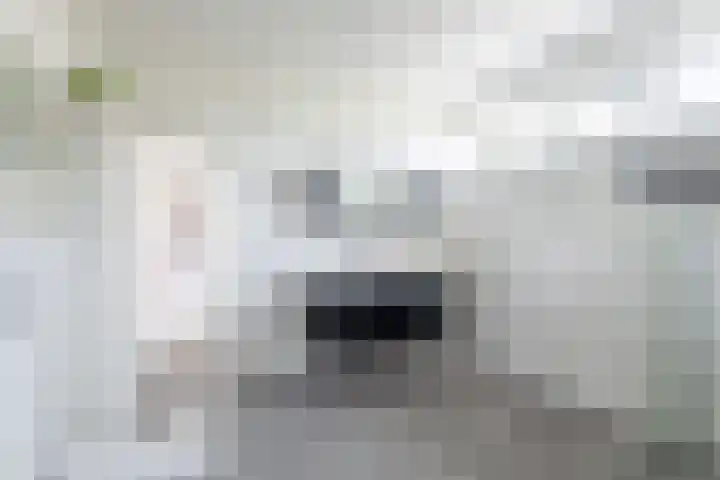 Beerseweg 37 Cuijk thumbnail 64