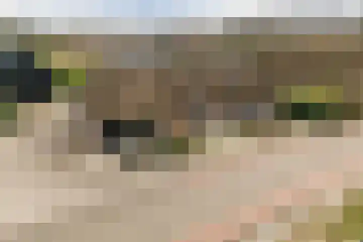 Beerseweg 37 Cuijk thumbnail 7