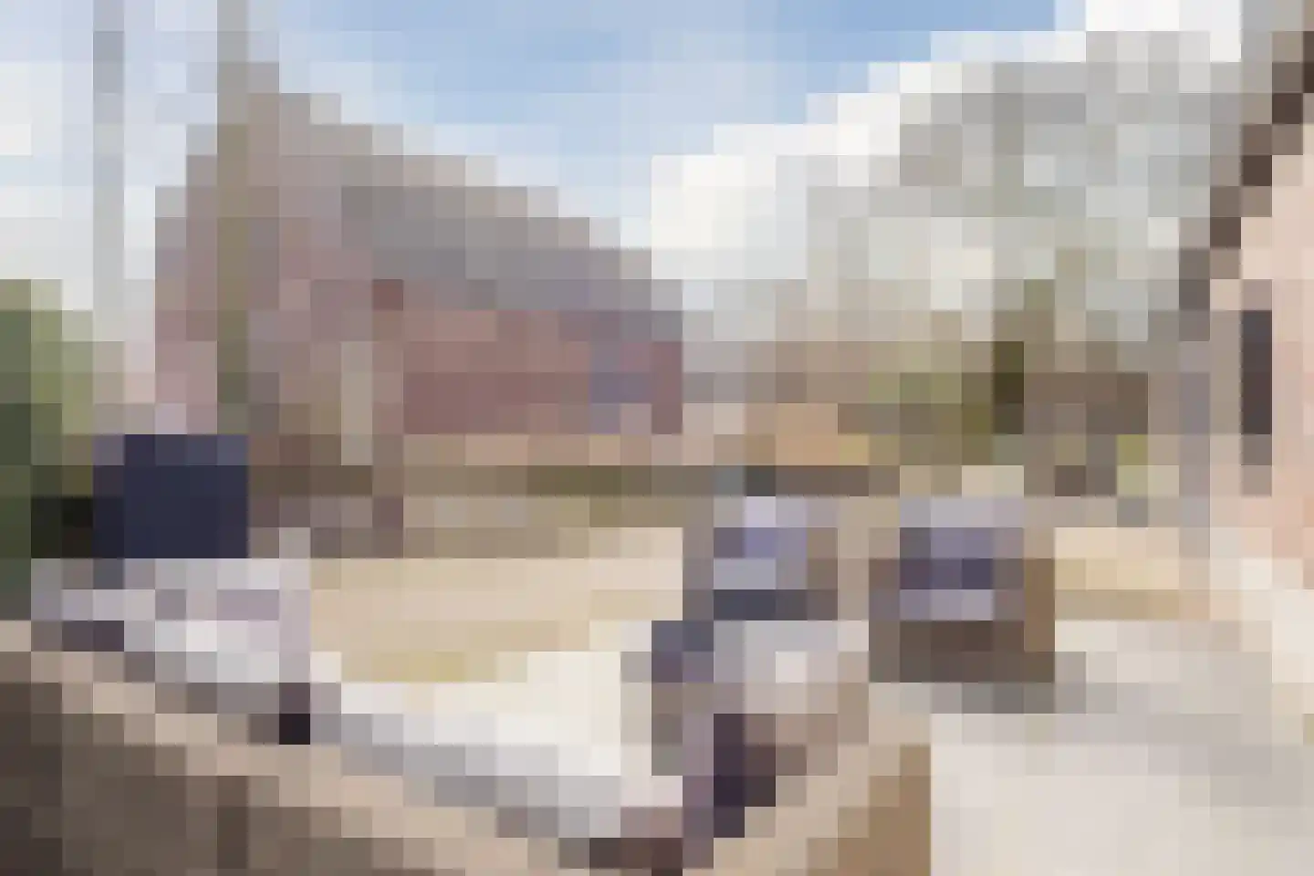 Beerseweg 37 Cuijk thumbnail 8