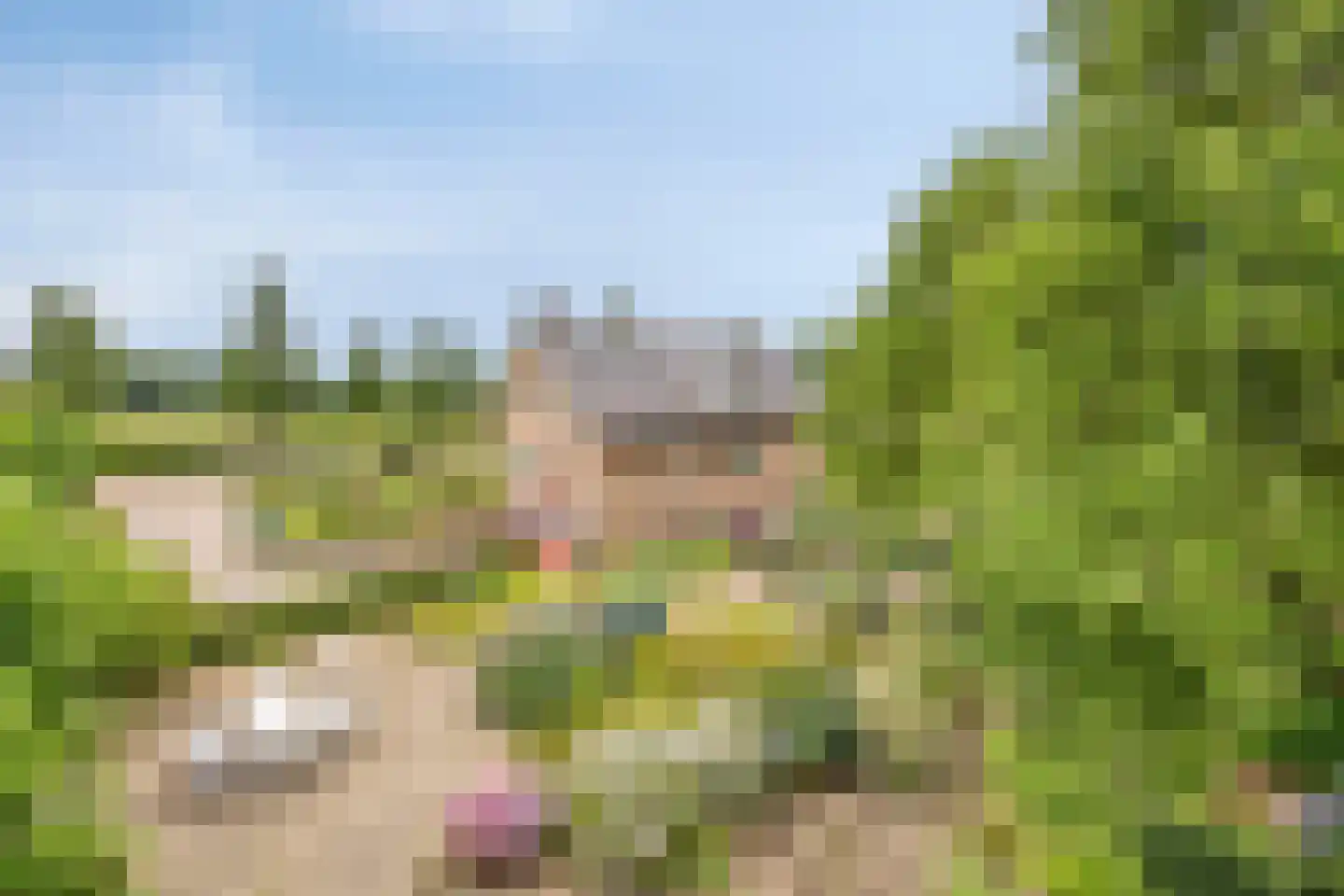 Beerseweg 38 Cuijk thumbnail 11