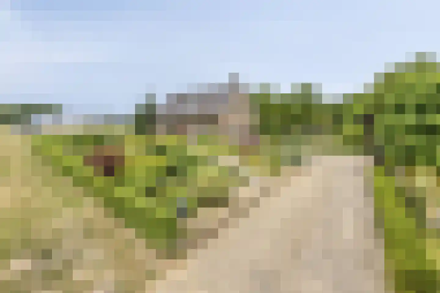 Beerseweg 38 Cuijk thumbnail 16