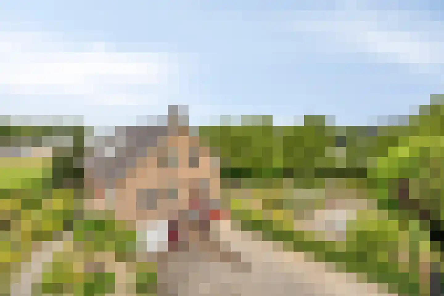 Beerseweg 38 Cuijk thumbnail 17