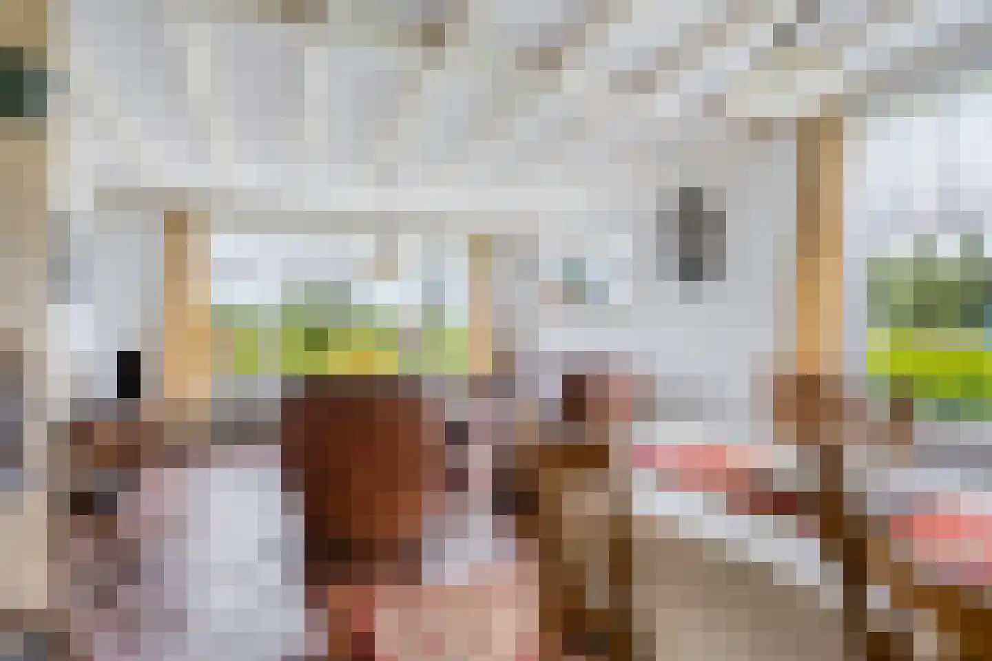 Beerseweg 38 Cuijk thumbnail 24