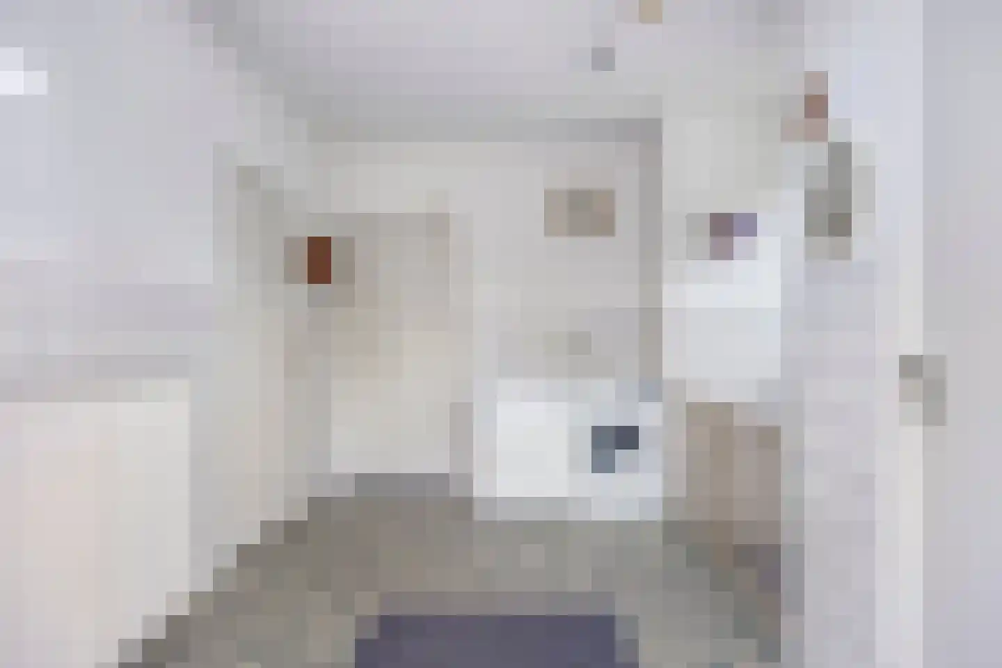 Beerseweg 38 Cuijk thumbnail 29
