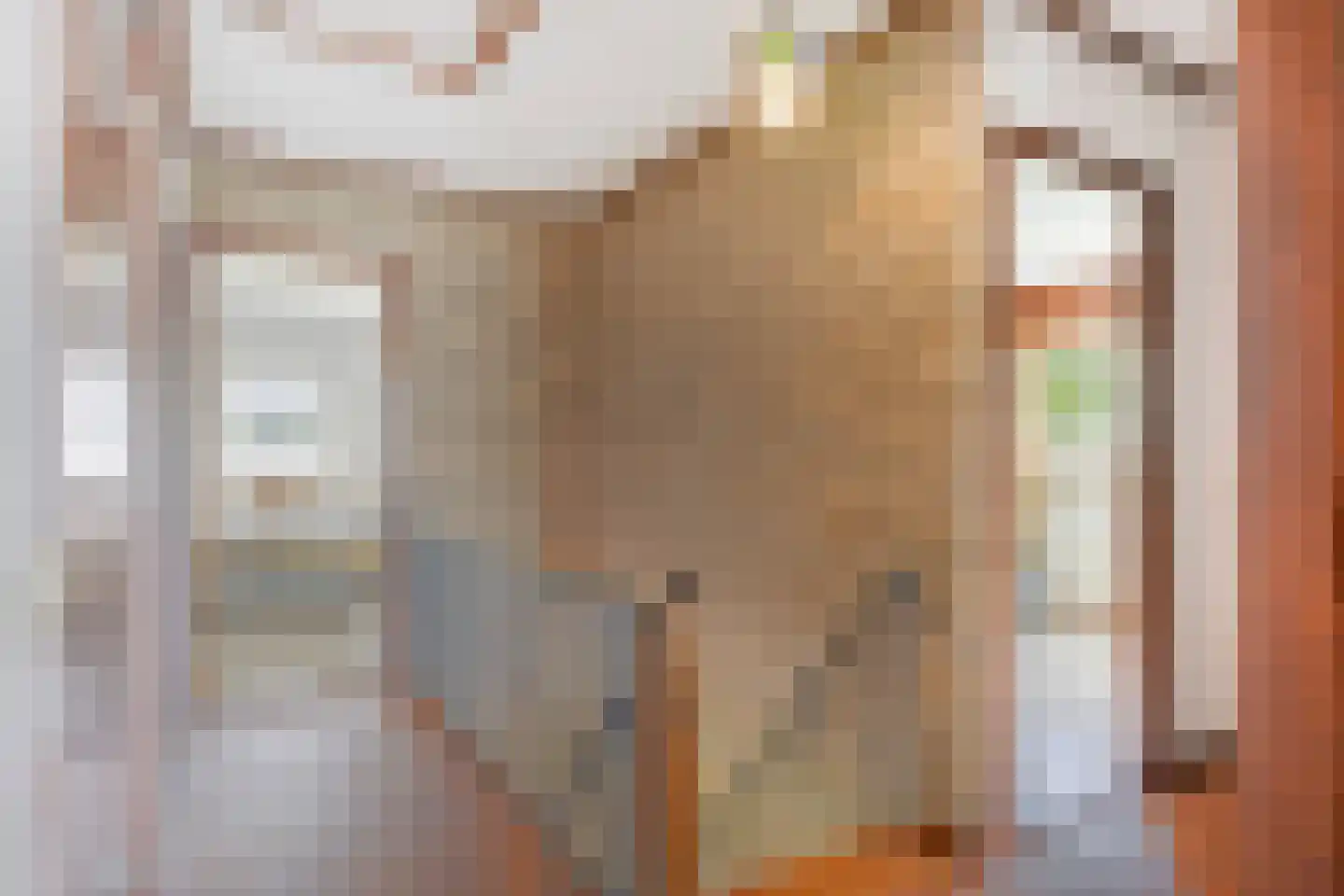 Beerseweg 38 Cuijk thumbnail 32