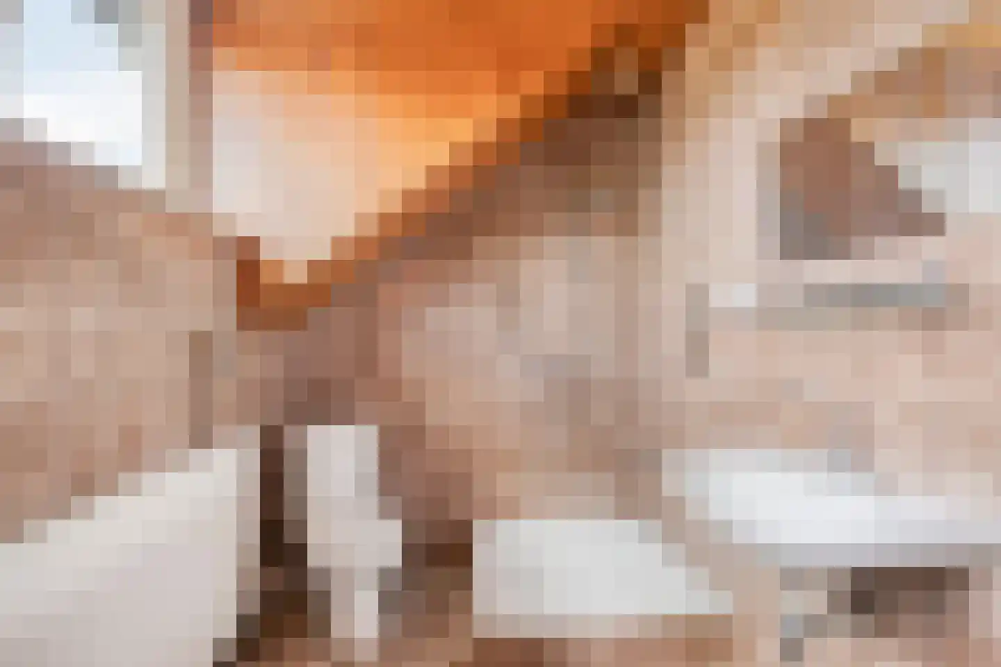 Beerseweg 38 Cuijk thumbnail 37