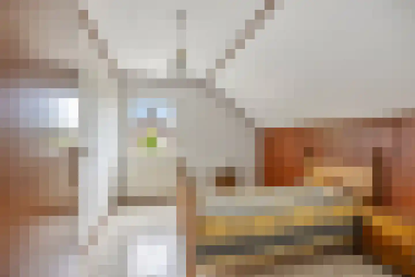 Beerseweg 38 Cuijk thumbnail 39