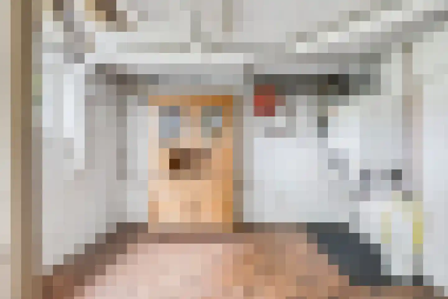 Beerseweg 38 Cuijk thumbnail 44