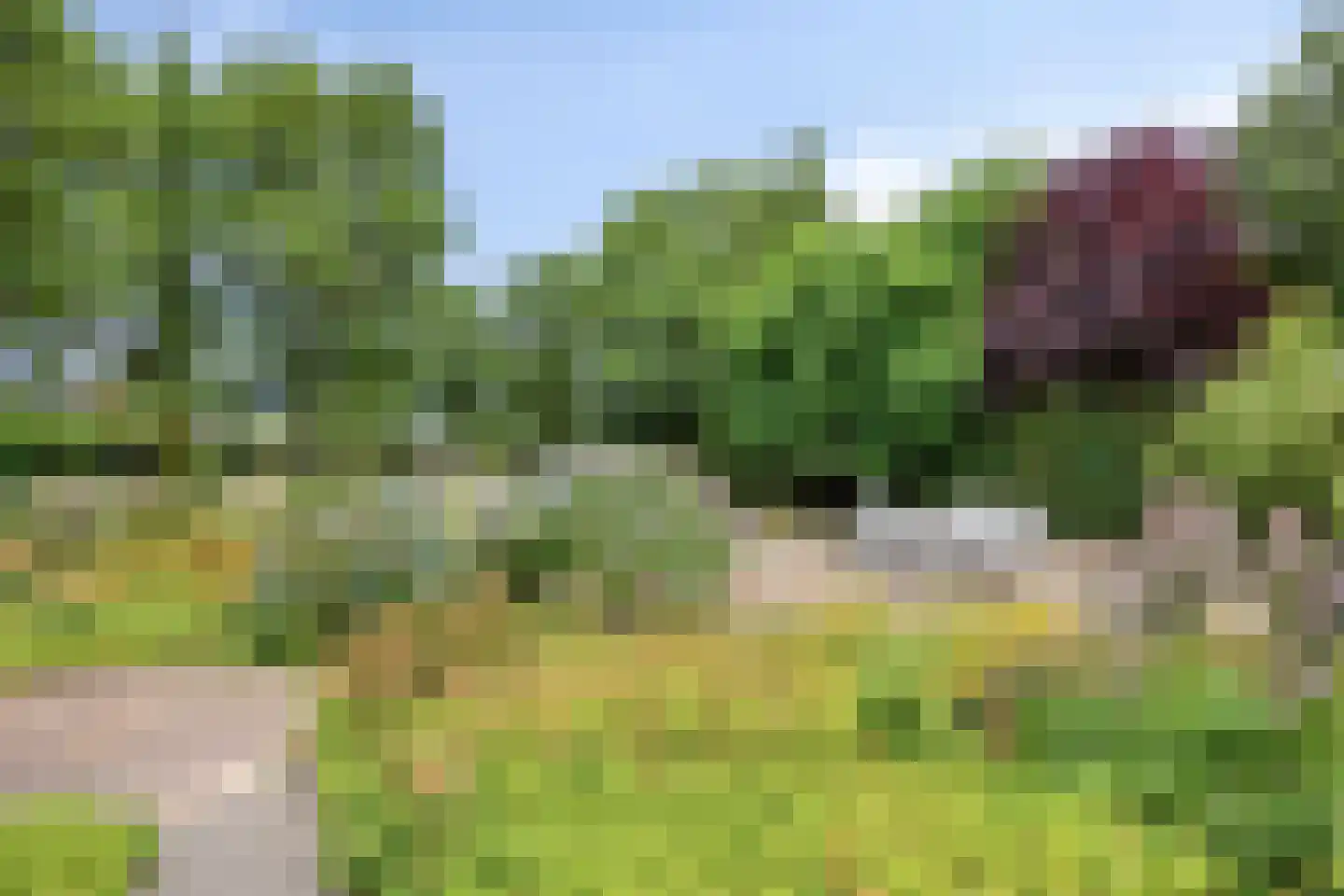 Beerseweg 38 Cuijk thumbnail 54
