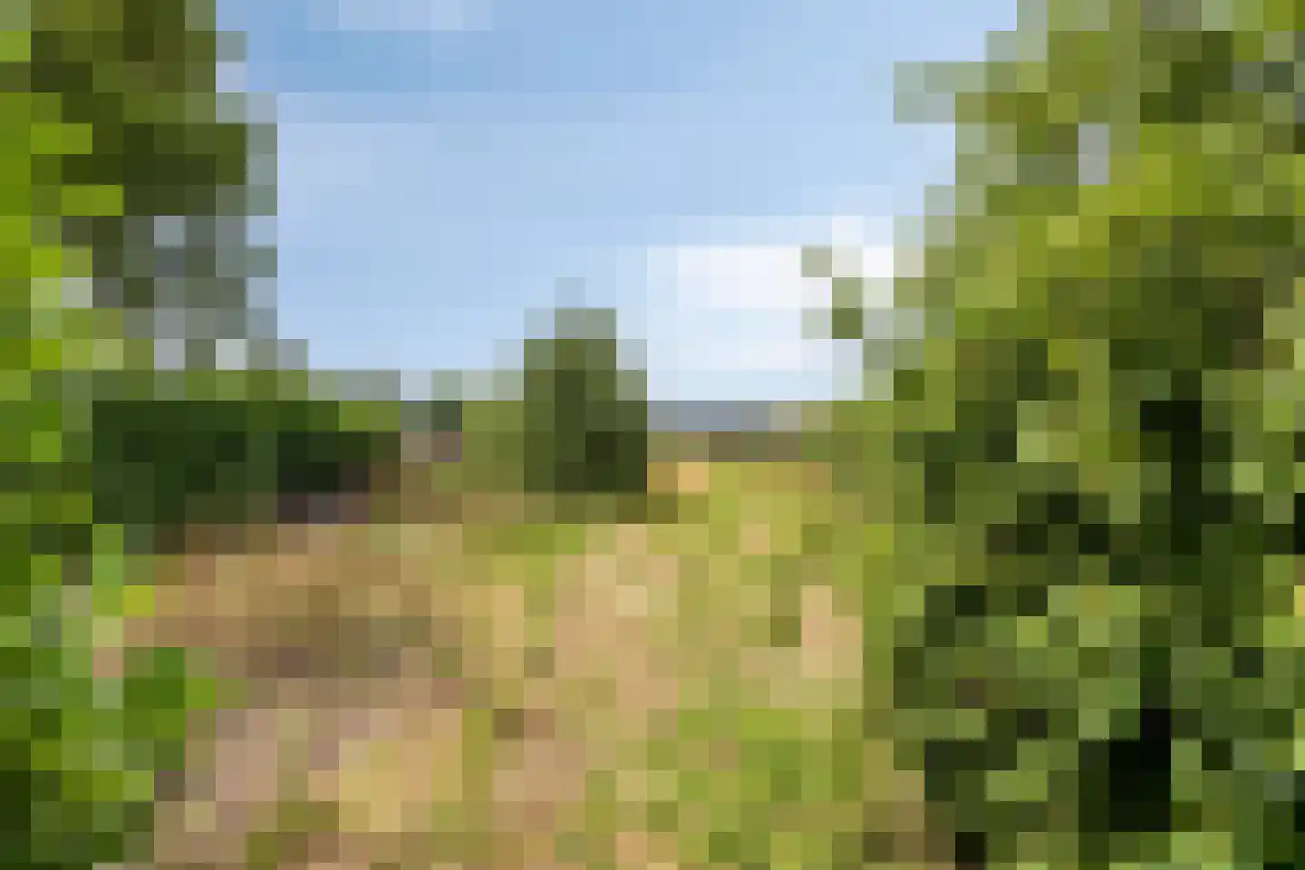 Beerseweg 38 Cuijk thumbnail 55