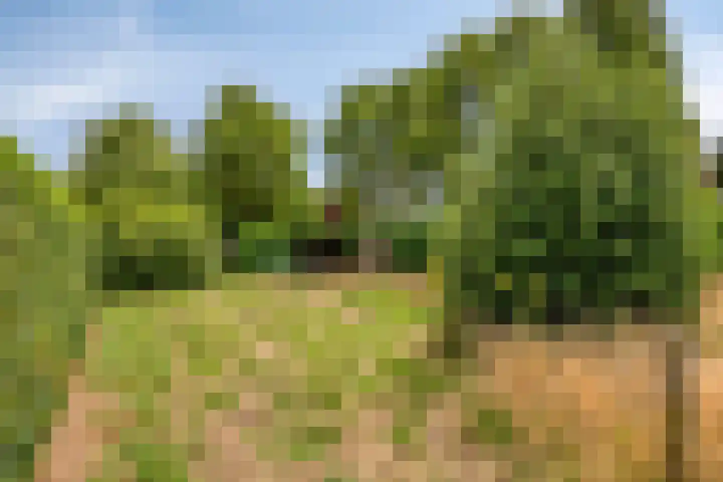 Beerseweg 38 Cuijk thumbnail 56