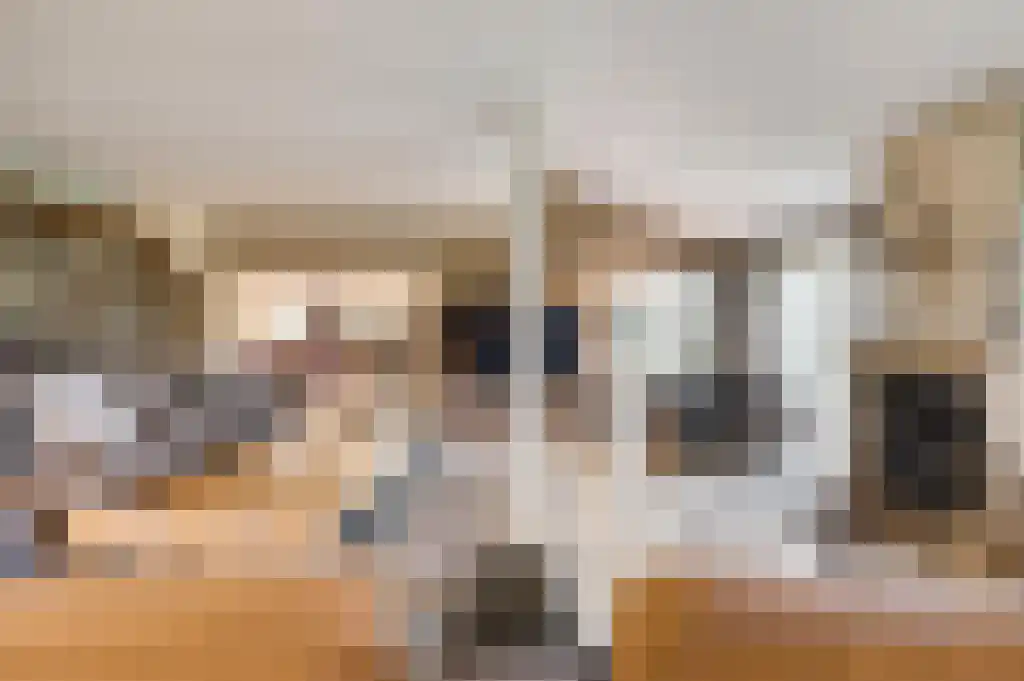 Beerseweg 5 Diessen thumbnail 10