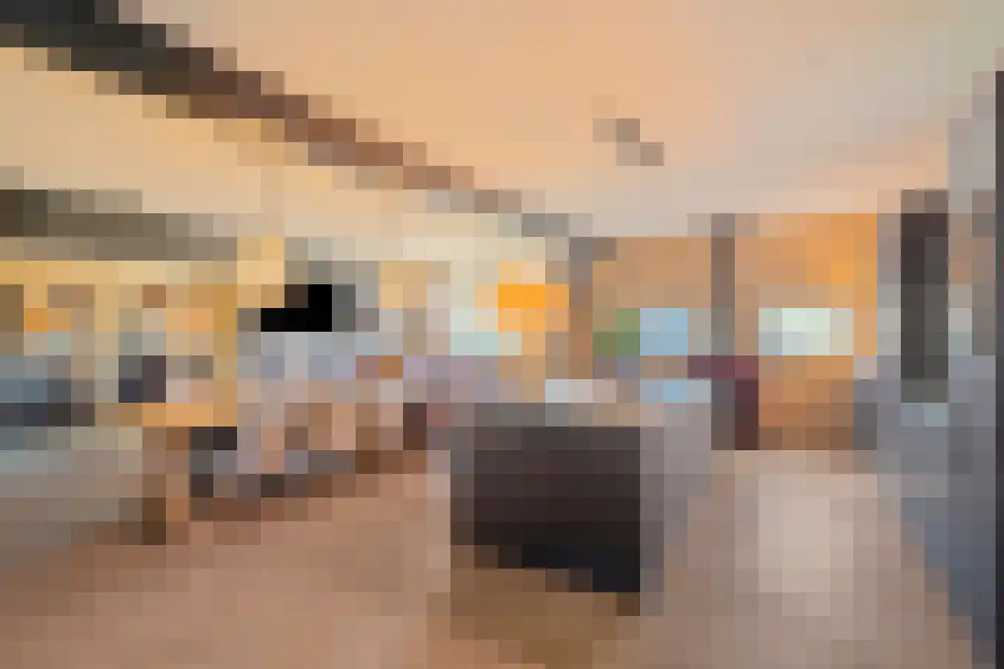 Beerseweg 5 Diessen thumbnail 11