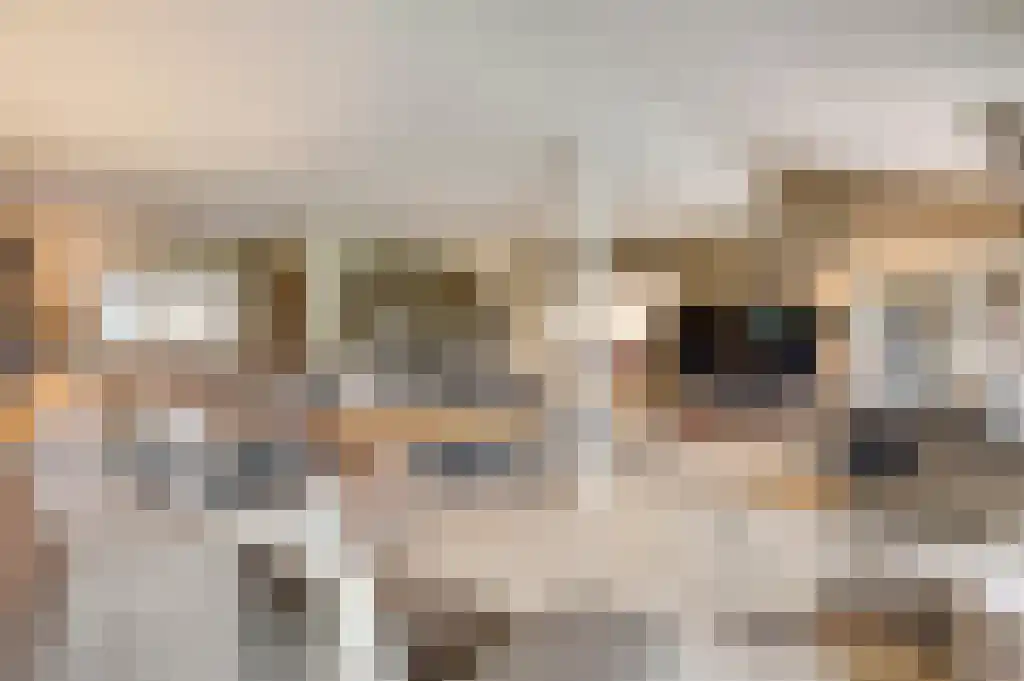 Beerseweg 5 Diessen thumbnail 12