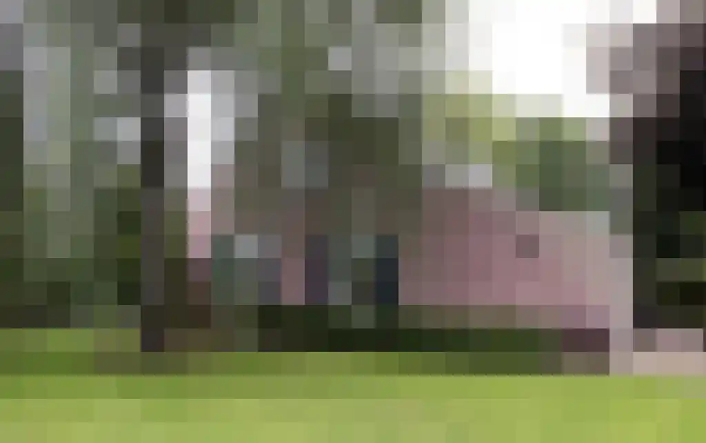 Beerseweg 5 Diessen thumbnail 14