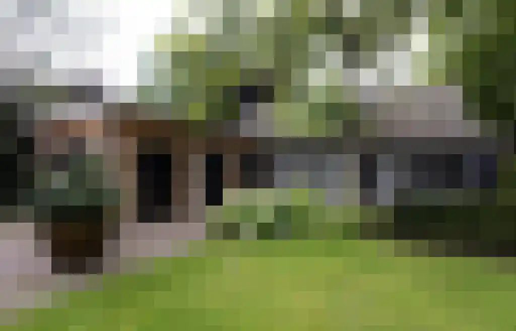 Beerseweg 5 Diessen thumbnail 16