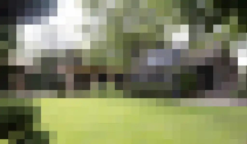 Beerseweg 5 Diessen thumbnail 17