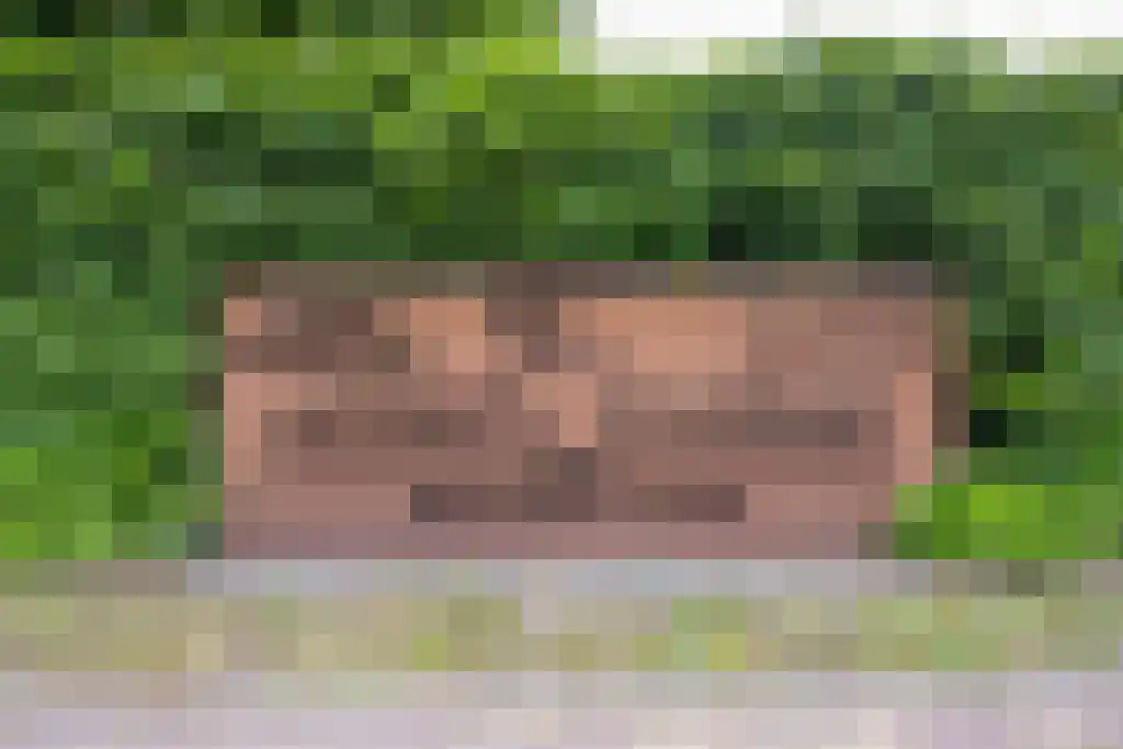 Beerseweg 5 Diessen thumbnail 18