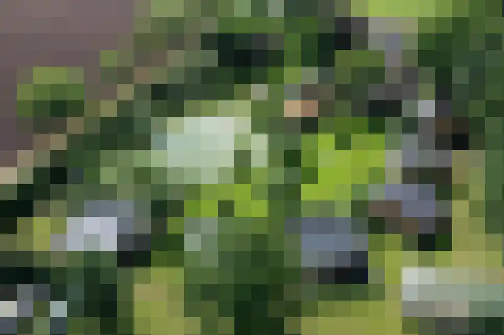Beerseweg 5 Diessen thumbnail 19